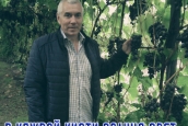 В каждой кисти солнца свет... От хобби к удачному  бизнесу