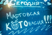 Мартовская котовасия