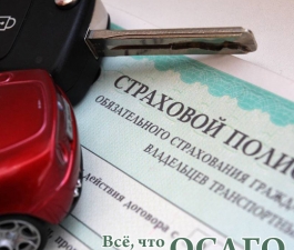 Всё, что вы хотели знать про ОСАГО