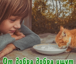 От добра добра ищут