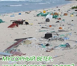 Мусорный ветер, или Куда уходит… мусор?