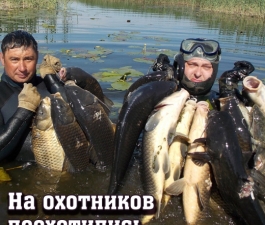 На охотников поохотились