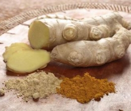 Корень бодрости
