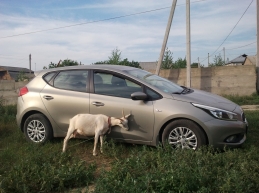 Моя Малышка)